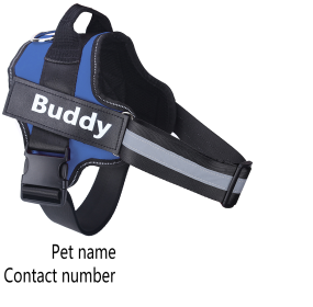 Dog Harness No Pull Reflective Breathable Adjustable Pet (Option: Blue-S)